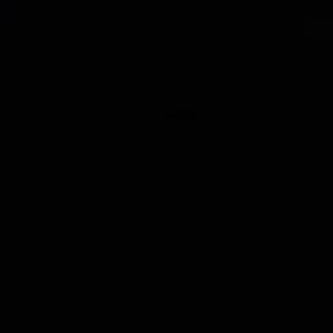 Meet your Posher, Chase